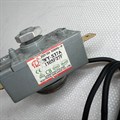 Защитный термостат для водонагревателя 30L Royal (вертикального типа) WISPTL001 HC-1021516